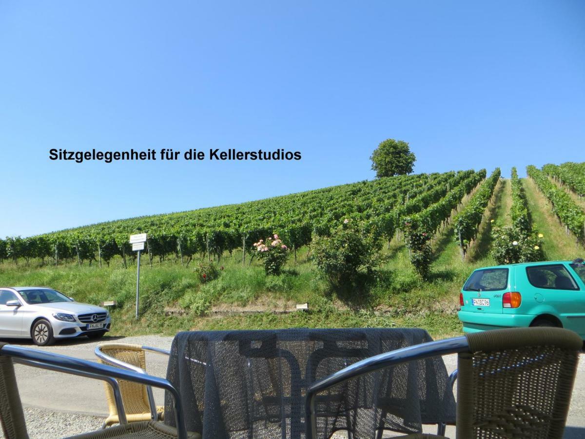 Gaestehaus Sommertal Mit Pool Im Garten, Eigener Parkplatz, 800M Zum Bodensee, 300M Zur Altstadt Меерсбург Экстерьер фото